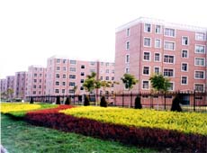 住宅樓隱形紗窗案例